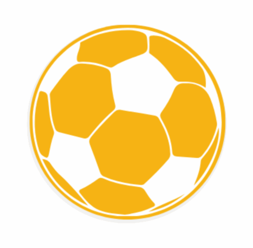 PCM Logo Ball